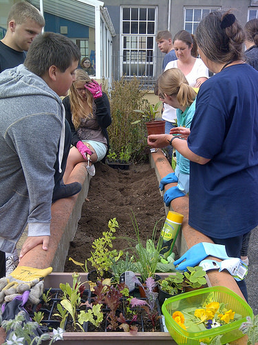 Fredrick Street 13th August