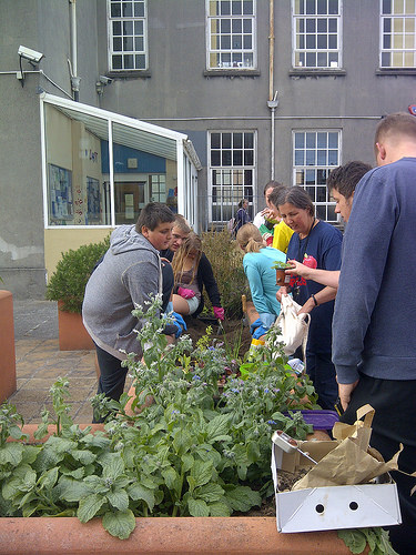 Fredrick Street 13th August