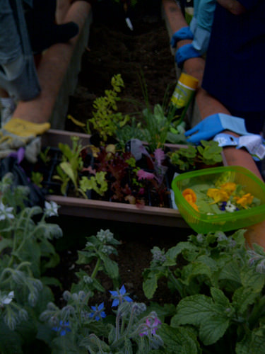 Fredrick Street 13th August