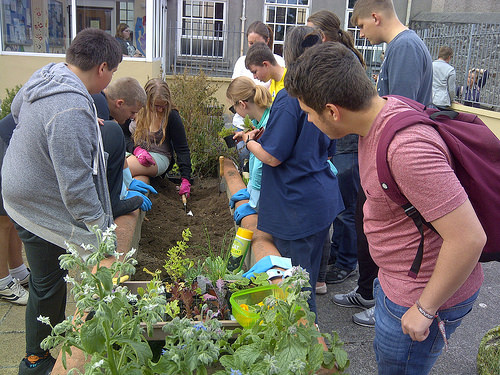 Fredrick Street 13th August