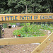 A Little Patch of Ground Devon 2011