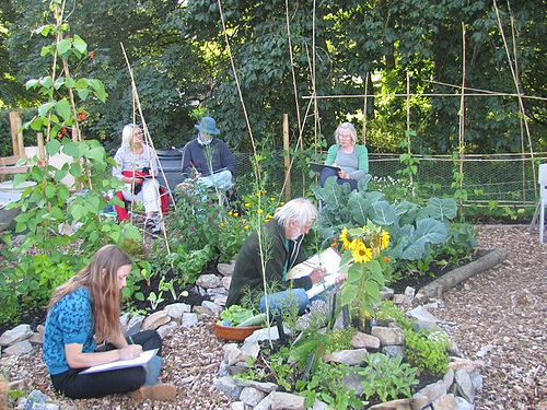 A little patch of ground