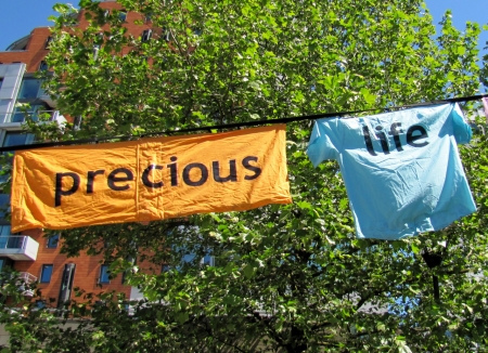 seeing-with-new-eyes