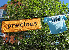 seeing-with-new-eyes