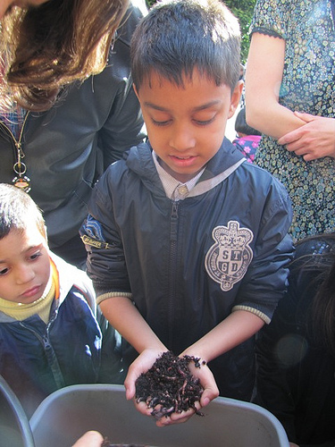 A Little Patch of Ground London 2011