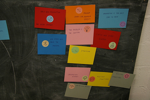 A Little Patch of Ground Devon 2011