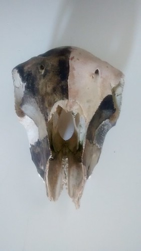 IMG_20150523_102324008